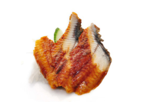 SAAN.Sashimi Anguille